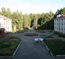 Lječilište Smolensk „crvena šuma”: opis, lokacija, recenzije i cijena