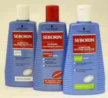 "Seborin" (šampon): mišljenja, sastav, vrste