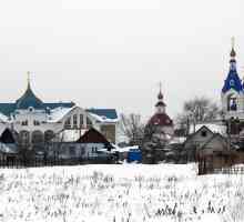 Selo je dobrodošla Voronjež regija. bogorodica