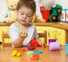 Osjetilni razvoj djece 2-3 godina. Igre za djecu senzorne razvoj