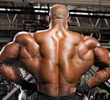 Široki mišiće leđa, atletski perspektiva