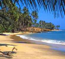 Šri Lanka je u lipnju. Veliki odmor i uzbuđenja