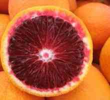 Sicilijanac crvene naranče korisnih svojstava i kontraindikacije