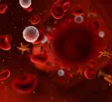 AB0 sustava i nasljeđivanje krvnih grupa kod ljudi