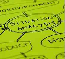 Situacijska analiza kao važan alat za marketing istraživanja u tvrtki