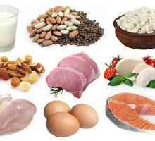 Koliko proteina probaviti u jednom obroku? Proteini i ugljikohidrati u hrani