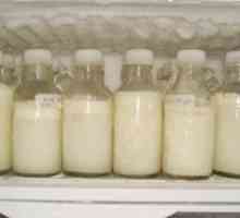 Koliko majčino mlijeko može se pohraniti u hladnjak i kako to učiniti