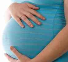 Koliko tjedana trudna žena šetnje? dajemo odgovor