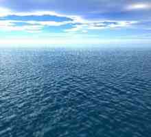 Koliko oceani na Zemlji: rasprava o točnom broju