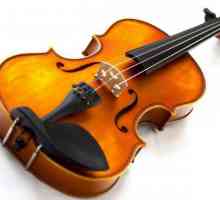 Koliko žice u violine i kako alat?