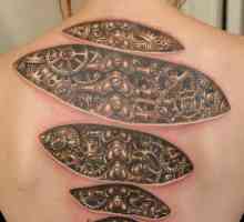 Kako se iscjeljivanje tetovažu? Što određuje se liječenje?