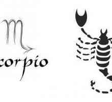 Škorpion: Znak element kompatibilnost