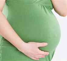 Šljive u trudnoći: koristi i štete