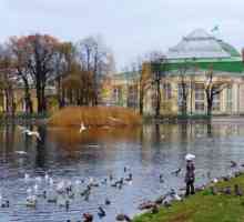 Odlazak na St. Petersburgu? - svakako posjetite Tauride vrt