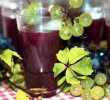 Juicy grožđe: korisna svojstva i kontraindikacije