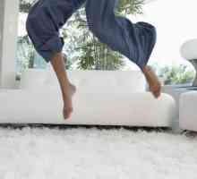 Savjeti: Kako očistiti tepih kod kuće