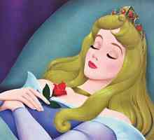 „Spavanje princeza”: analiza glavnih likova, te sažetak. „Spavanje…
