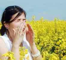 Lijek za alergije na ambroziju - postoji li?
