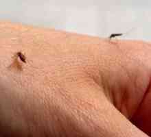 Komarac odbijajući za dojenčad. Recenzije repelent za komarce na djecu mlađu od godinu dana