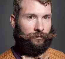 Stilovi brade i brkova: fotografija i opisa