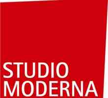 "Studio Moderna" (doo). Mišljenje zaposlenika