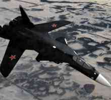 Su-47 "Zlatni orao": fotografija, svojstva. Zašto blizu projekt?