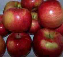 Sušenje jabuke u mikrovalnoj pećnici tijekom 5 minuta