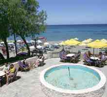 Talea plaža hotela 3 * (Grčka / Kreta) - fotografija, cijene, opisa i ocjene