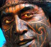 Tattoo „Maori”: implikacije za pleme kako primijeniti, koja je razlika
