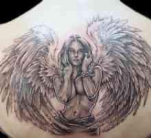 Tattoo anđeo tetovaža vrijednost. Tattoo krilima anđela