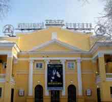 Glazbena komedija Kazalište, Novosibirsk priča družina repertoar