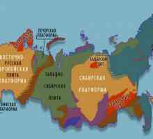 Tektonska struktura West Siberian ravnici. Zapad Sibirski Plate
