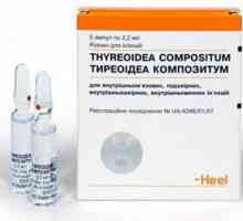„Tireoidea kompozitum” (Thyreoidea compositum): upute za uporabu, opis pripreme