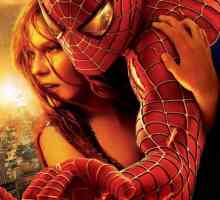 Trilogija „Spider-Man”: glumci i opis zemljište