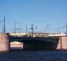 Tuchkov most (Sankt Peterburg). Tuchkov Most: slika