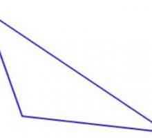 Tup trokut: duljina strane, zbroj kutova. Opisana tupo trokut