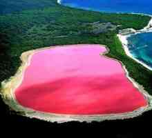 Iznenađujuće Australija: Hiller - ružičasta jezero sa slanim plažama
