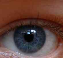 UV očiju Research Institute. Ufa Institut za istraživanje bolesti oka