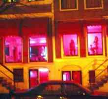 Ulica crveno svjetlo distrikt - glavna atrakcija u Nizozemskoj