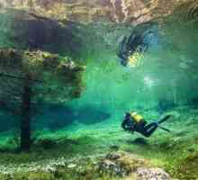 Jedinstven Zelena jezero: podvodni svijet usred Austrije