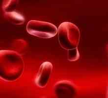 Razina hemoglobina u krvi: norma i patologija