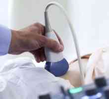 Ultrazvuk slezene i jetre: obilježja priprema, studija, dekodiranje