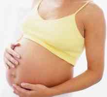 Koliko vremena je potrebno za obavljanje fetalni ultrazvuk?