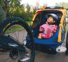 Bicikl prikolica za dijete - pouzdan suradnik za obitelji s djecom