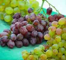 Grožđica grožđa: koristi i štete od voća usjeva