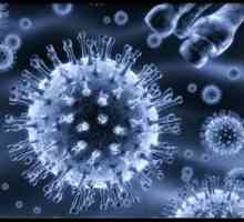 Virusnih infekcija Epstein-Barr: relevantnost, Epidemiology, kliničke slike, liječenje