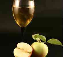 Ukusna vina od jabuka. Recept za kućnu upotrebu