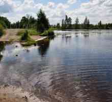 Voloyarvi - jezero u Lenjingradu regiji. Opis, ribolov, foto
