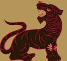 Orijentalna horoskop i njegove karakteristike: tigar-žena i tigar-čovjek - Kompatibilnost je…