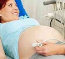 Da li ultrazvuk štetan za fetus u drugom tromjesečju?